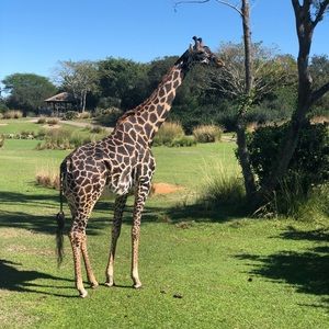 Meet your Posher, Barbara